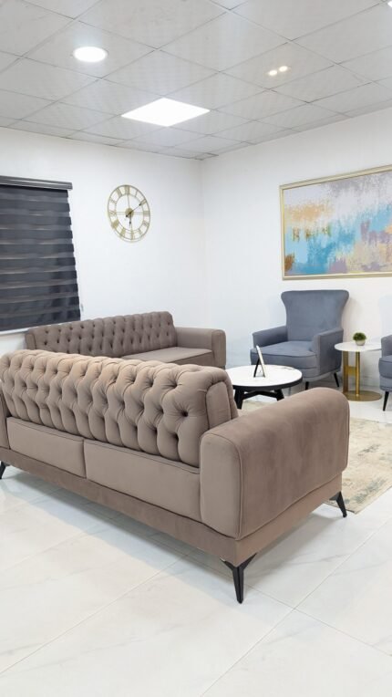 Tolani Sofa Set