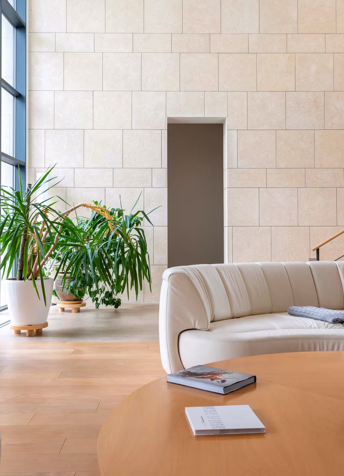Premium sofa sets